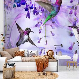 Carta da parati Colibrì volanti - motivo di uccelli volanti tra i fiori viola