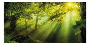 Quadro moderno Sotto il sole stretto - paesaggio favoloso bosco verde