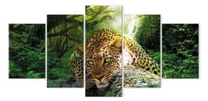 Quadro moderno Leopardo sdraiato (5 pezzi) largo verde - felino selvatico bosco