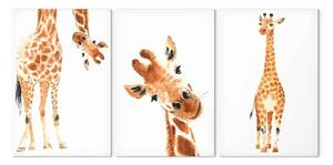 Quadro moderno Giraffe divertenti (3 pezzi)