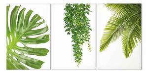 Quadro contemporaneo Bellissime palme (3 pezzi)
