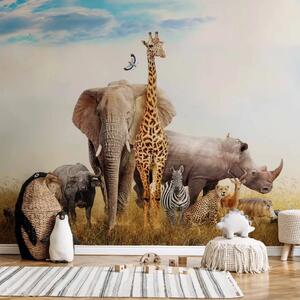 Carta da parati Fauna africana - animali della savana tra l’erba su cielo chiaro