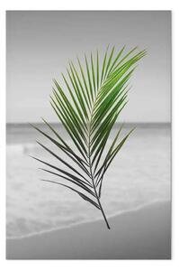 Quadro moderno Ramo di palma verde verticale