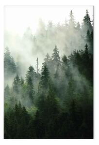 Quadro su tela Foresta di conifere verticale