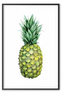 Poster: Ananas - composizione con frutto tropicale su sfondo bianco uniforme