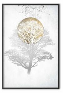 Poster: Raggi X della natura - astrazione con albero in colori chiari