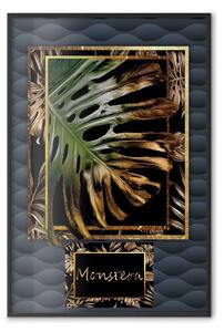 Poster: Monstera dorata - composizione con pianta tropicale su sfondo scuro