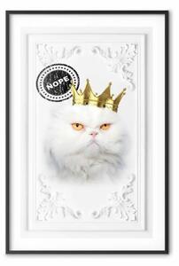 Poster: Re gatto - divertente composizione con felino bianco