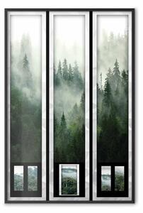 Poster: Carte di ricordi - fitta foresta nella nebbia in diversi quadri
