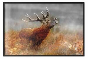 Poster: Cervo ruggente - autunno campestre