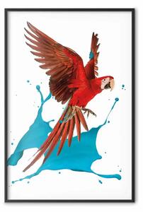 Poster: Pappagallo in volo - uccello tropicale e macchia azzurra