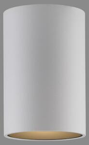 PAUL NEUHAUS Lampada da soffitto a LED PURE Point, bianca, per interni, dimmerabile 2700 K