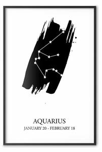 Poster: Acquario - con costellazioni stellari