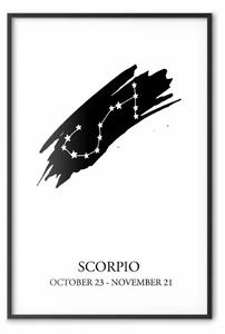 Poster: Scorpione - stellare in B/N e iscrizioni