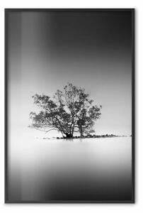 Poster: Albero su isola - paesaggio calma lago in B/N