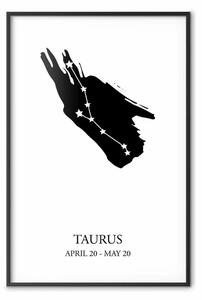 Poster: Toro - con sottotitoli in inglese