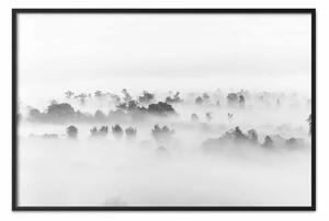 Poster: Nebbia fitta - cime alberi nebbiosi in B/N