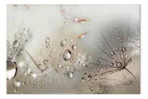 Quadro Estate beige - gocce natura su soffione