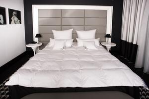 HS82 Piumino 200x200 cm 2600 grammi Piumino da letto 15% piumino 85% piume Mayaadi Home