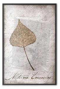 Poster: Tesori della natura - composizione vintage con foglie