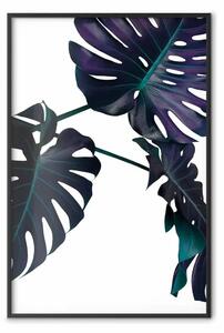 Poster: Sempreverde - composizione con foglie tropicali scure su sfondo bianco