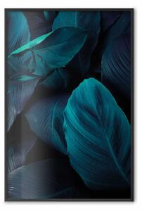 Poster: Notte nella giungla: composizione con foglie tropicali