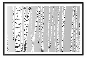 Poster: Betulle: una composizione di alberi bianchi e neri su sfondo grigio