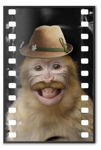 Poster: Scimmia con cappello: scimmia sorridente con baffi