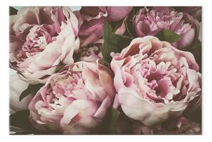 Quadro su tela Mazzo di fiori dai toni pastello - peonie in tonalità rosa