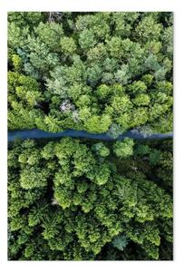 Quadro contemporaneo Strada attraverso la foresta verticale