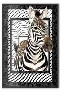Poster: Zebra: mammifero a strisce su sfondo a motivi