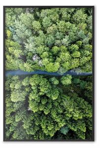 Poster: Una strada attraverso la foresta: vista a volo d'uccello