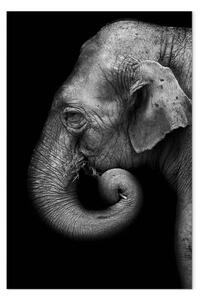 Quadro Ritratto di elefante verticale