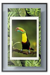 Poster: Tucano - un uccello colorato seduto su un ramo tra foglie tropicali