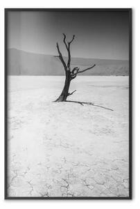 Poster: Albero nel deserto - pianta senza foglie sulla sabbia