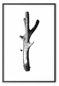Poster: Stick: composizione con albero secco tagliato