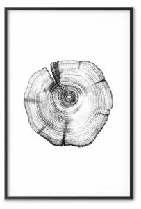 Poster: Fetta di albero: composizione con motivo vegetale