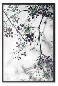 Poster: Ramoscelli fioriti: paesaggio scandinavo in motivo vegetale