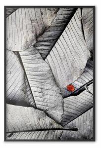 Poster: Foglie bianche e nere: foglia rossa in grigio