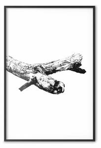 Poster: Ramo di un albero - pezzo di legno essiccato