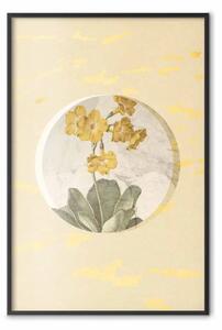 Poster: Un fiore in cerchio: composizione vegetale toni giallo-oro