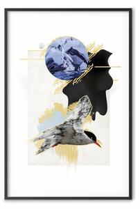 Poster: Sterna antartica - astrazione con uccello invernale