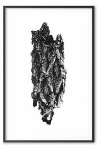 Poster: Corteccia di albero - verticale su sfondo bianco