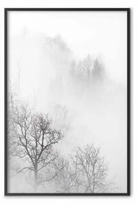 Poster: Alberi nella nebbia