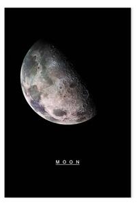 Quadro Luna verticale