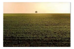 Quadro L'infinità dei campi - albero al mattino, paesaggio autunnale minimal