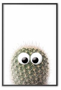 Poster: Cactus con gli occhi - pianta spinosa divertente
