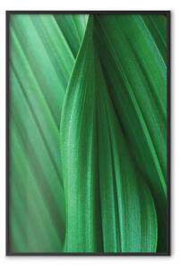 Poster: Trama foglia - composizione con motivo vegetale verde