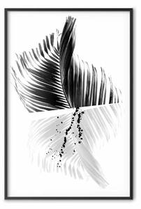 Poster: Palma in bianco e nero - motivo vegetale