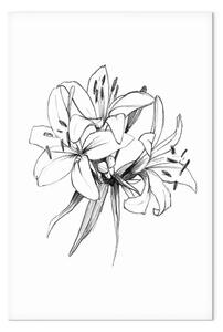 Quadro su tela Fiori in bianco e nero - natura astratta e delicata